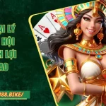 Hợp Tác Đại Lý FM88 – Cơ Hội Kinh Doanh  Lợi Nhuận Cao